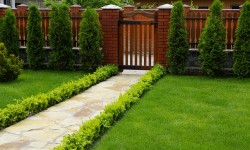 Sed blandit massa vel