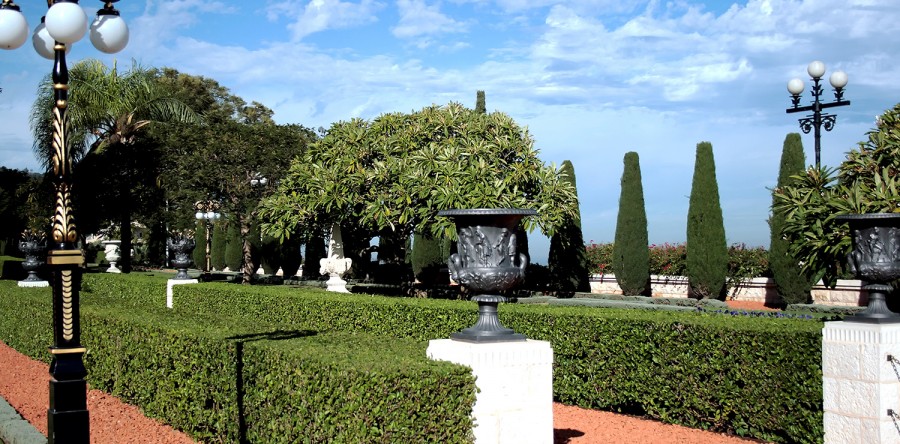 Etiam commodo convallis