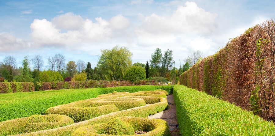 Suspendisse arcu nisl