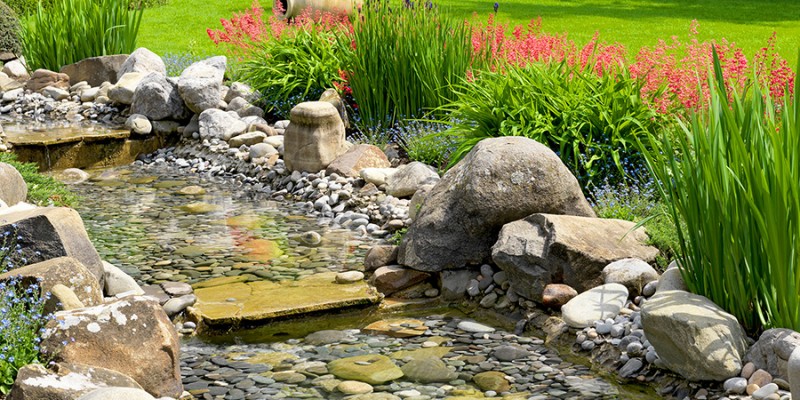 garden with pond in asian style