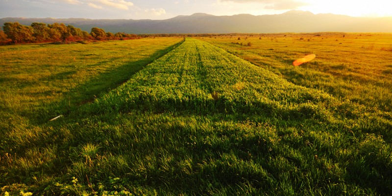 Beautiful sunset in nature